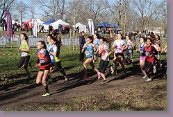 Begles 15.12.13 01 489 * 679 x 453 * (198KB)